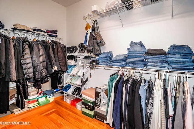 45 Sugar Hill Rd, Manahawkin, NJ 08050 - view of walk in closet