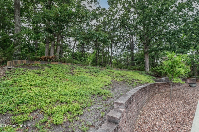 45 Sugar Hill Rd, Manahawkin, NJ 08050 - view of yard