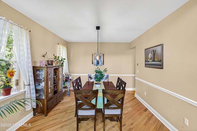 5 Song Bird Ct, Jackson, NJ 08527 - photo 22