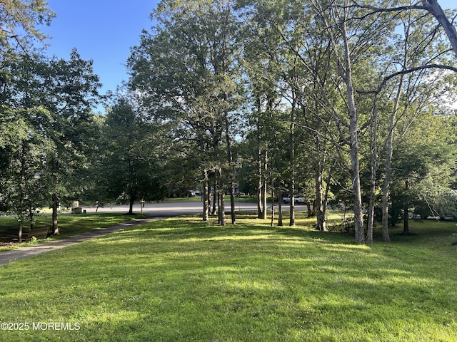 10 Brentwood Dr, Jackson, NJ 08527 - photo 5