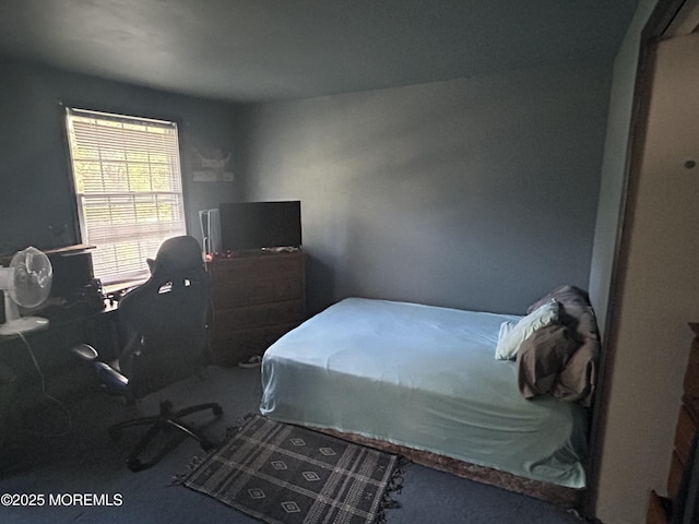 10 Brentwood Dr, Jackson, NJ 08527 - photo 20