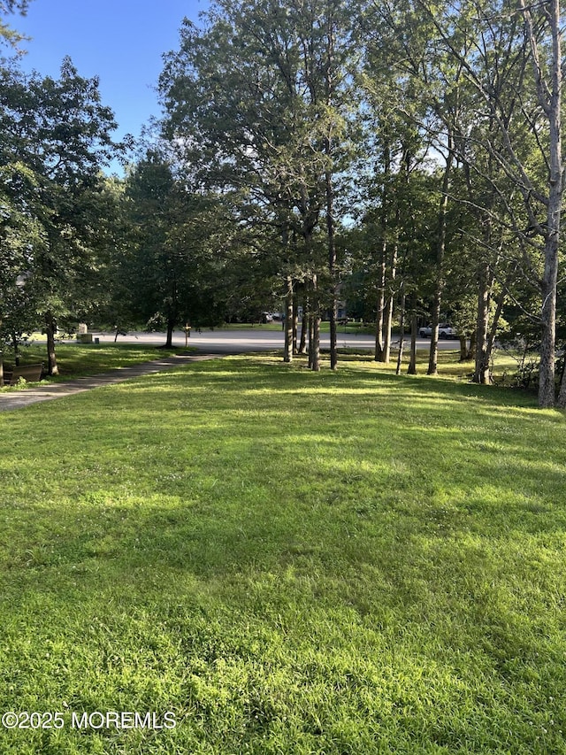 10 Brentwood Dr, Jackson, NJ 08527 - photo 4