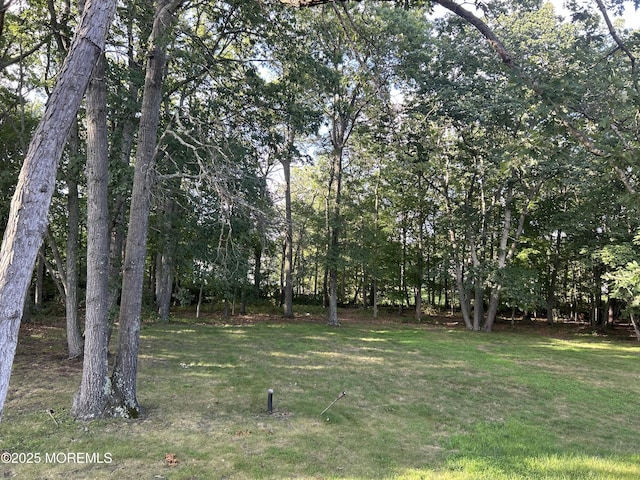 10 Brentwood Dr, Jackson, NJ 08527 - photo 23