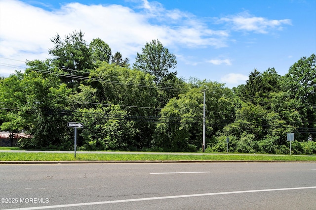 185 N County Line Rd, Jackson, NJ 08527 - photo 9
