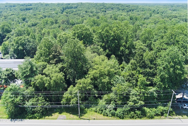 185 N County Line Rd, Jackson, NJ 08527 - photo 8