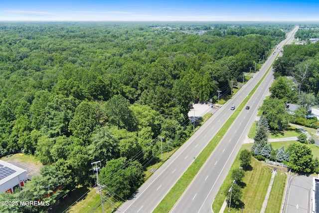 185 N County Line Rd, Jackson, NJ 08527 - photo 13