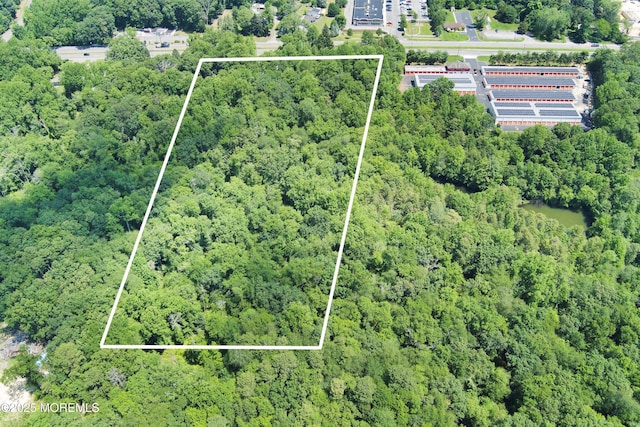 185 N County Line Rd, Jackson, NJ 08527 - photo 16