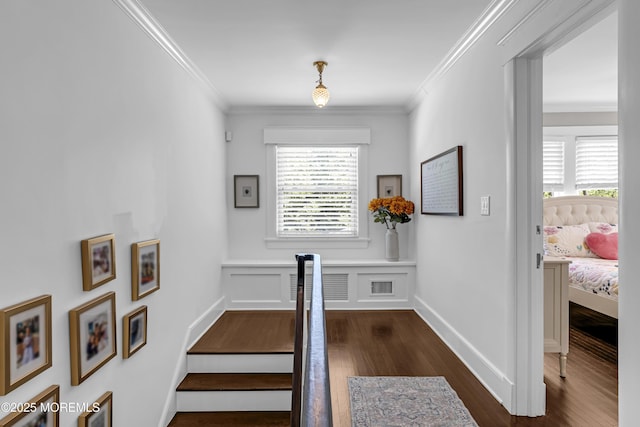 6 Buttonwood Dr, Shrewsbury Boro, NJ 07702 - hallway with dark wood-style flooring and ornamental molding