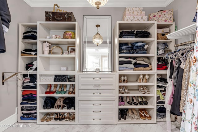 6 Buttonwood Dr, Shrewsbury Boro, NJ 07702 - view of spacious closet