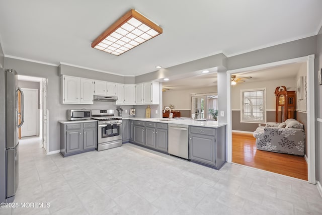 23 Norlaine Dr, Cookstown, NJ 08511 - kitchen featuring appliances with stainless steel finishes, gray cabinets, under cabinet range hood, ornamental molding, and a ceiling fan