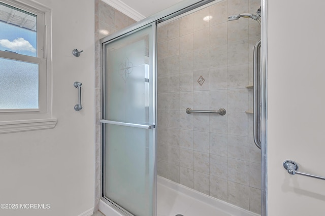 404 Picardy Ct Unit A, Lakewood, NJ 08701 - bathroom with a shower stall