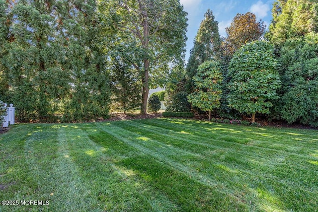 1905 3rd Ave, Spring Lake, NJ 07762 - view of grassy yard