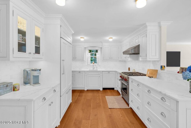 1905 3rd Ave, Spring Lake, NJ 07762 - kitchen featuring stainless steel stove, exhaust hood, white cabinetry, backsplash, and ornamental molding