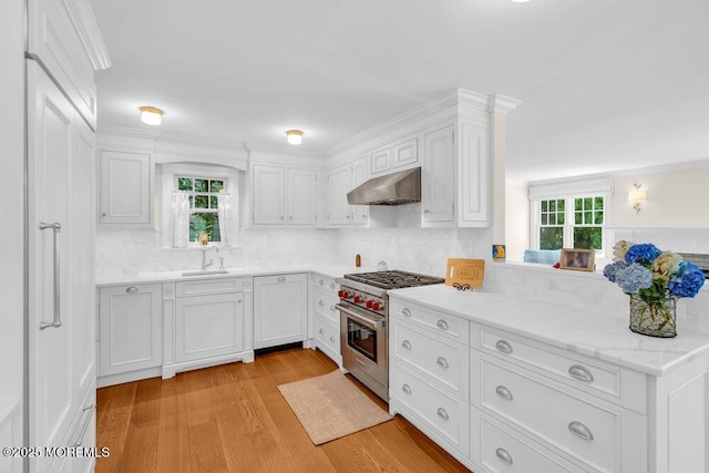 1905 3rd Ave, Spring Lake, NJ 07762 - kitchen with luxury stove, under cabinet range hood, light wood-type flooring, and white cabinetry