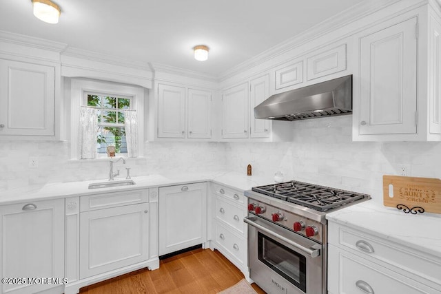 1905 3rd Ave, Spring Lake, NJ 07762 - kitchen featuring exhaust hood, designer stove, white cabinetry, tasteful backsplash, and ornamental molding