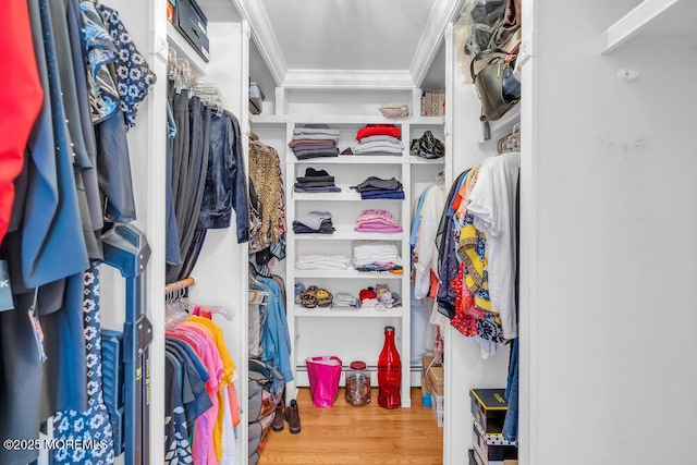 1905 3rd Ave, Spring Lake, NJ 07762 - walk in closet featuring wood finished floors