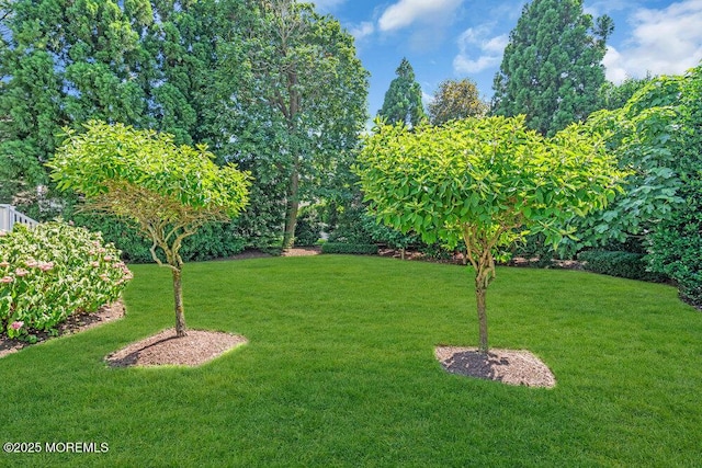 1905 3rd Ave, Spring Lake, NJ 07762 - view of green lawn