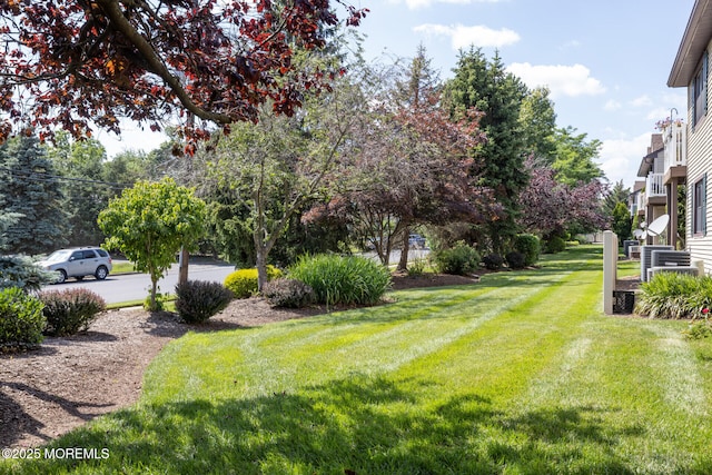 50 Prospect St Unit 09, Metuchen, NJ 08840 - photo 38