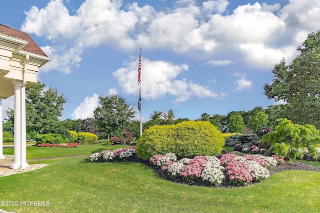 3 Spring Lake Blvd, Waretown, NJ 08758 - photo 59
