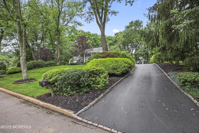 6 Stoecker Rd, Holmdel, NJ 07733 - view of home's community with a lawn and view of wooded area