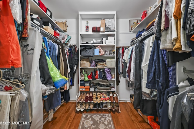 6 Stoecker Rd, Holmdel, NJ 07733 - walk in closet with wood finished floors