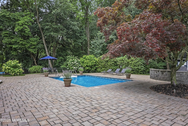 6 Stoecker Rd, Holmdel, NJ 07733 - outdoor pool featuring a patio