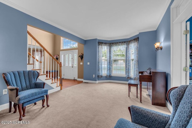 12 Emily Rd, Manalapan, NJ 07726 - photo 19