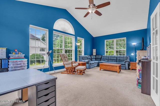 12 Emily Rd, Manalapan, NJ 07726 - photo 23