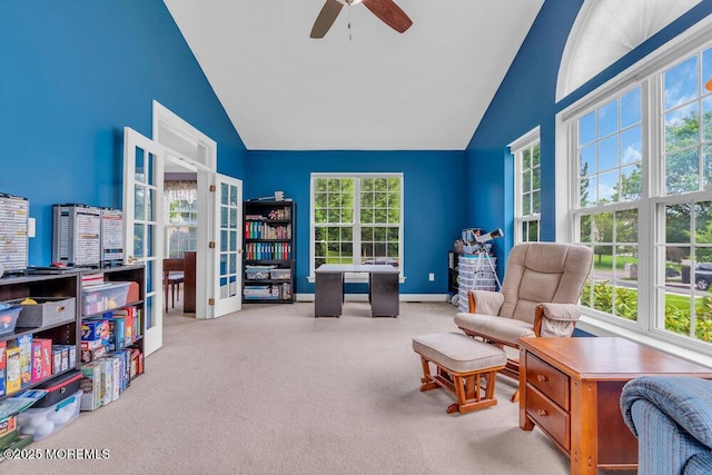 12 Emily Rd, Manalapan, NJ 07726 - photo 24