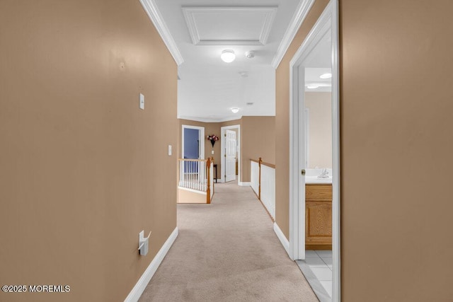 12 Emily Rd, Manalapan, NJ 07726 - photo 80