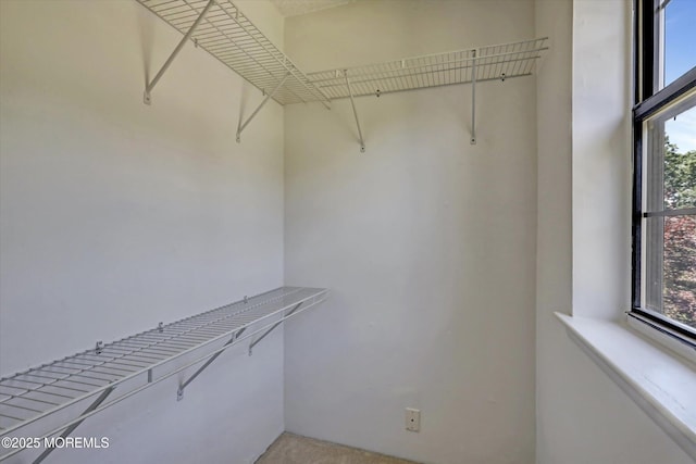 95 Azalea Cir, Jackson, NJ 08527 - photo 25