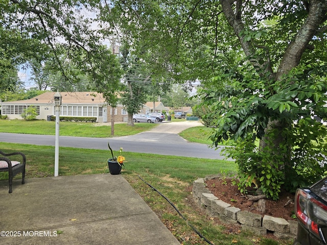 8 Cedar St Unit D, Toms River, NJ 08757 - photo 5