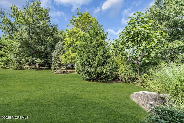 7 Woodlake Ct, Barnegat, NJ 08005 - photo 50