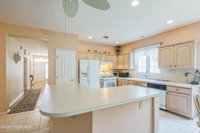 19 Fountain View Dr, Barnegat, NJ 08005 - photo 15