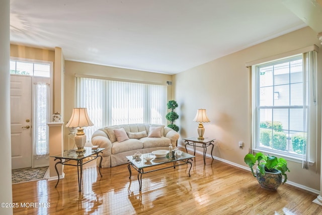 19 Fountain View Dr, Barnegat, NJ 08005 - photo 4