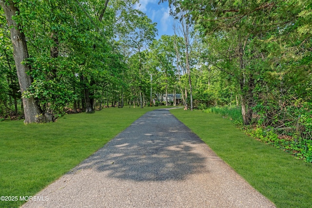277 Grawtown Rd, Jackson, NJ 08527 - photo 3
