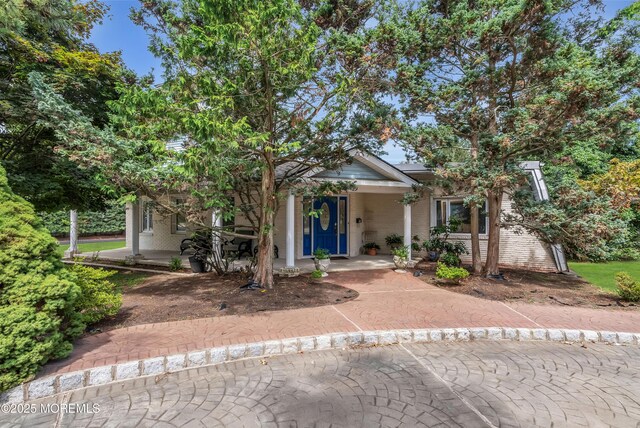 29 Woodrow St, Oakhurst, NJ 07755 - photo 44