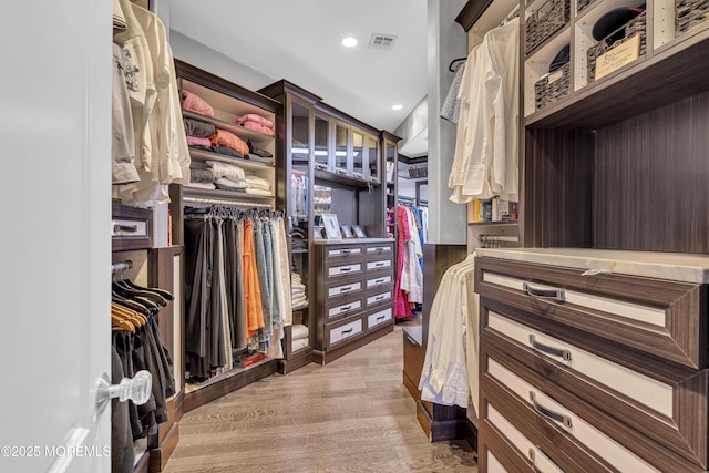 5 Champlain Ct, Lakewood, NJ 08701 - spacious closet with light wood-style flooring