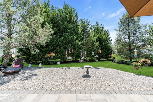 6 Amalfi Ct, Manchester, NJ 08759 - photo 81