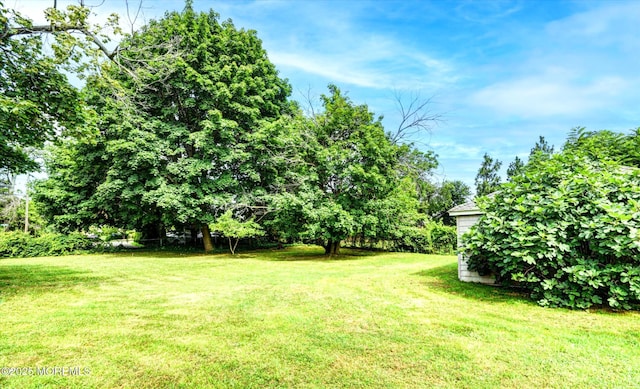 15 Golf St, West Long Branch, NJ 07764 - photo 32