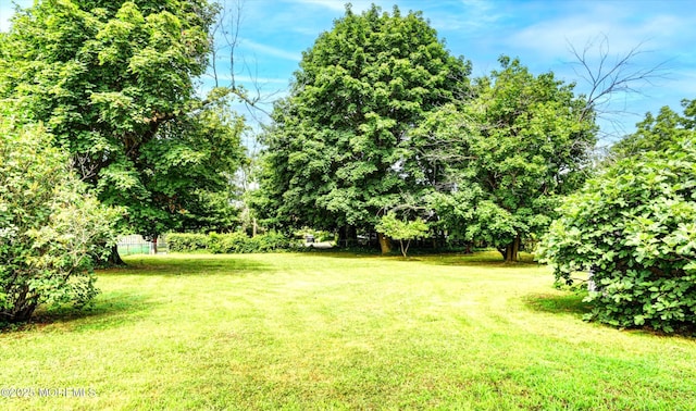 15 Golf St, West Long Branch, NJ 07764 - photo 33