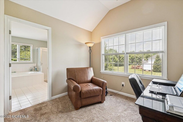 140 Palisade Dr, Freehold, NJ 07728 - home office with lofted ceiling and light colored carpet