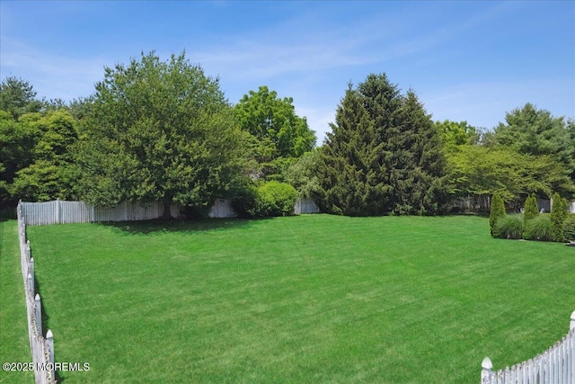 140 Palisade Dr, Freehold, NJ 07728 - view of yard