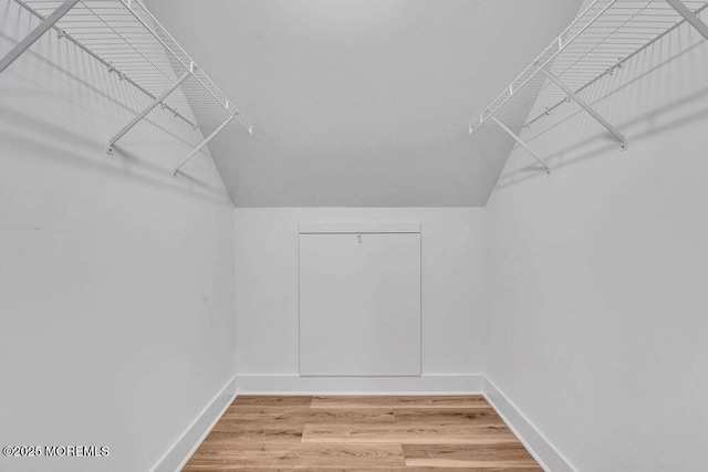 12 Outsail Ave, Barnegat, NJ 08005 - spacious closet featuring vaulted ceiling and wood finished floors