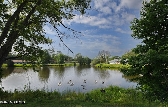 244D Jefferson Ct, Lakewood, NJ 08701 - water view