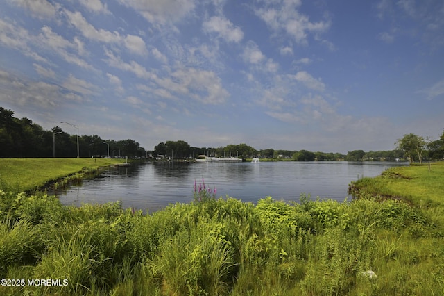 244D Jefferson Ct, Lakewood, NJ 08701 - water view
