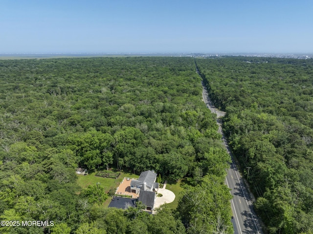 384 Hilliard Blvd, Manahawkin, NJ 08050 - photo 60