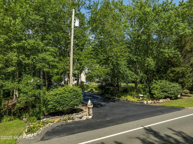 384 Hilliard Blvd, Manahawkin, NJ 08050 - photo 2