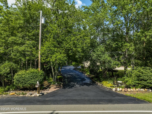 384 Hilliard Blvd, Manahawkin, NJ 08050 - photo 3