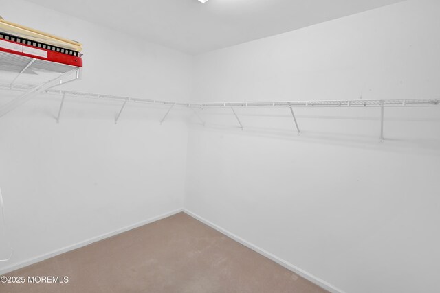 17 Kildare Ln, Jackson, NJ 08527